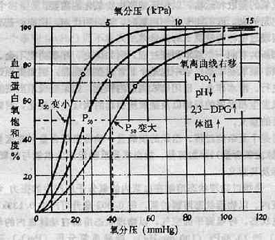 氧离曲线