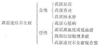 高原适应不全症分型