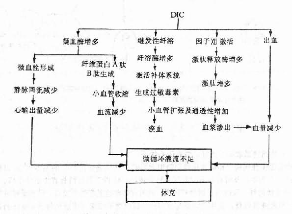 DIC产生休克的机理