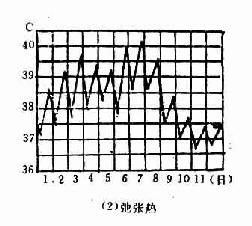 弛张热