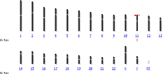 染色体11上致癌基因Ras