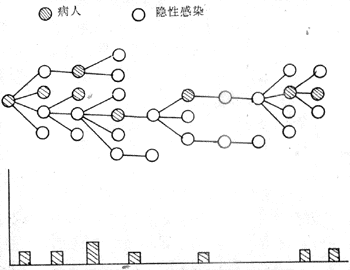 脊髓灰质炎流行过程示意图