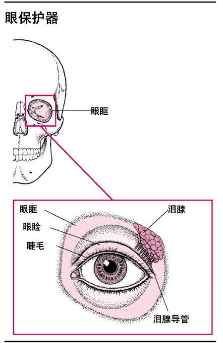 眼保护器