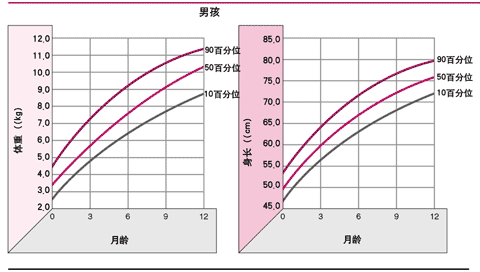 婴儿第一年（男）