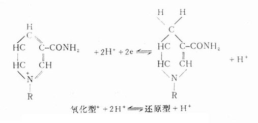 含有烟酸的一些辅酶的氢受体的功能