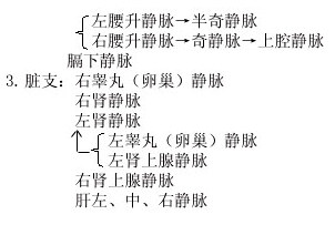 下腔静脉的属支