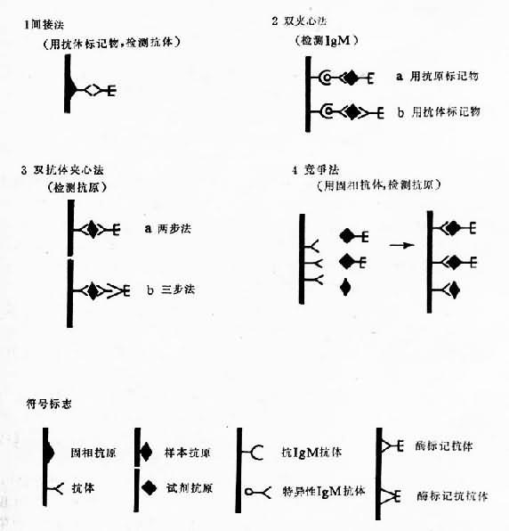 酶联免疫吸附试验常用方法示意图