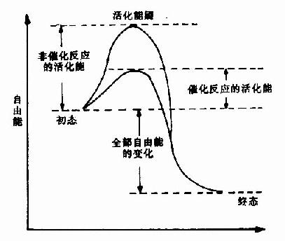 非催化过程和催化过程自由能的变化