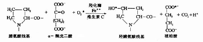 羟基化修饰