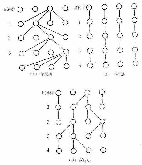 近交系原种群（基础群）的维持方法