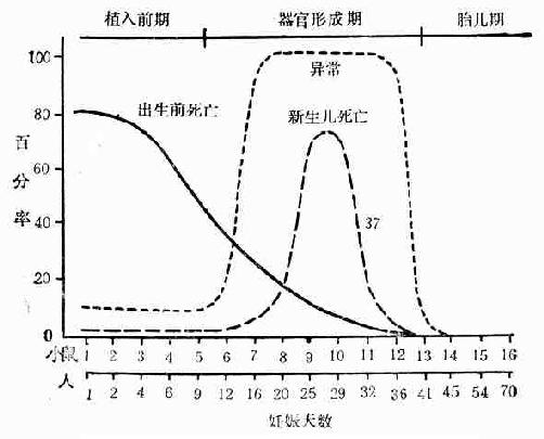 胚胎发育不同时期的辐射敏感性