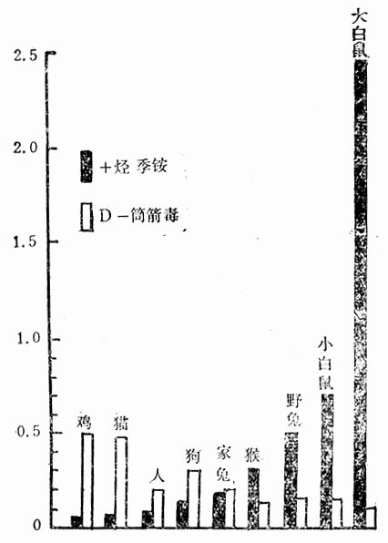 不同种实验动物对十烃季铵和筒箭毒的敏感性