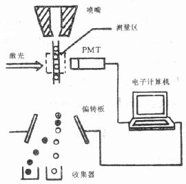  流式细胞计结构示意图