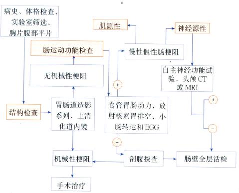 假性肠梗阻处理流程。