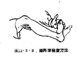 踝阵挛检查方法