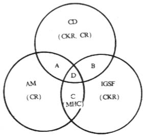 免疫分子命名的相互关系