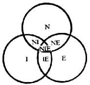 神经（N）、免疫（I）和内分泌（E）系统的关系