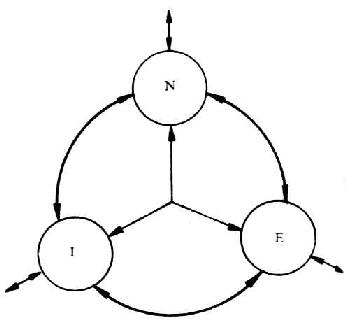 N、I、E间作用方式