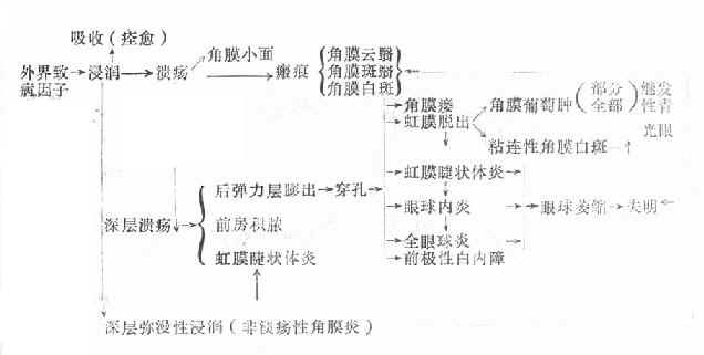 角膜炎