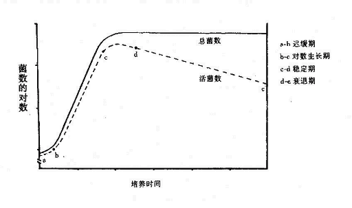 细菌的生长曲线