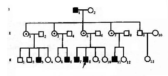 一例红绿色盲系谱