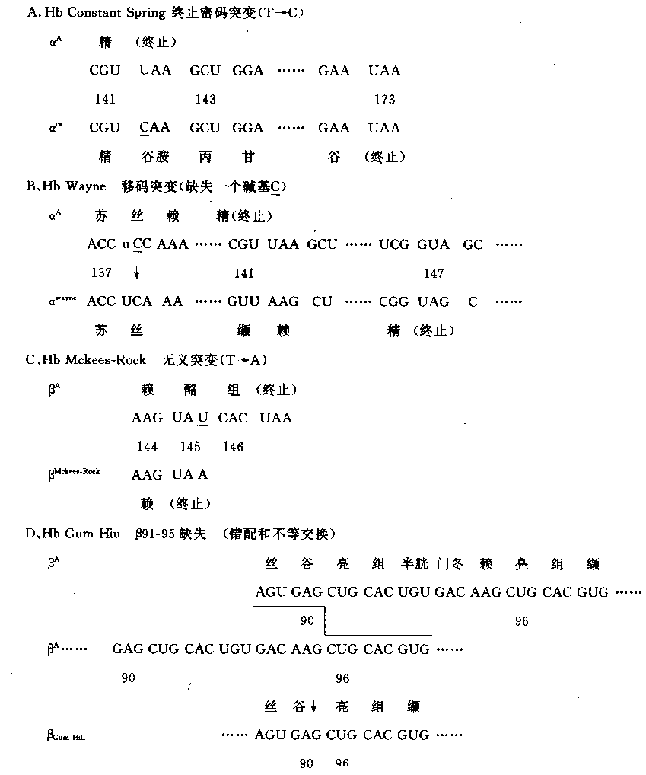 人类α链和β链mRNAR不同突变类型