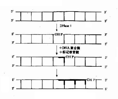 缺口平移标记法粗线示标记部分