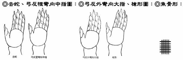 去蛇、弓反裡彎向中指圖；弓反外彎向大指、槍形圖；魚骨形：