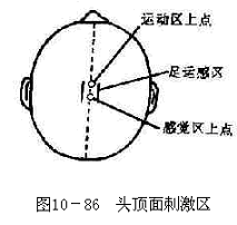 头顶面刺激区