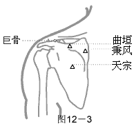 手阳明大肠经穴