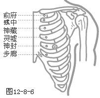 足少阴肾经穴